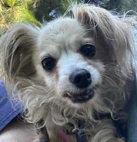 Photo of HAPPY