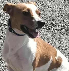 Photo of Miss Smiley