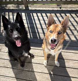 Sahbek & Christian photo 1