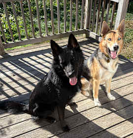 Sahbek & Christian photo 3