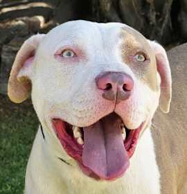 Joyful Mr Judd ~ SWEET ! photo 1