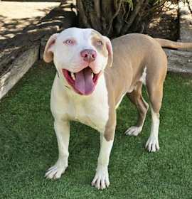 Joyful Mr Judd ~ SWEET ! photo 2