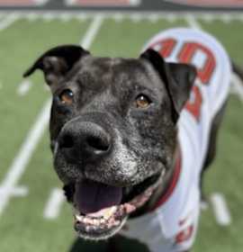 Photo of RONDE BARKER