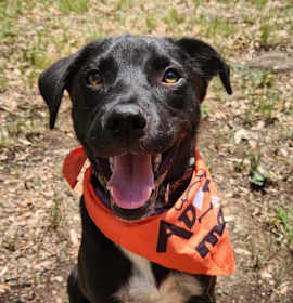 Photo of Mr.Lavender AG