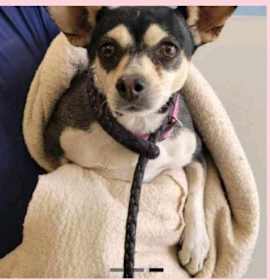 Photo of Willow Springs in TX