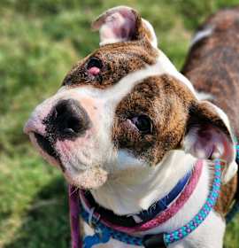 Meryl Streep photo 1