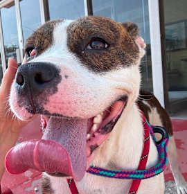 Meryl Streep photo 2