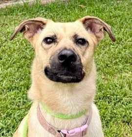 Photo of Dee Dee Lower Fee!!