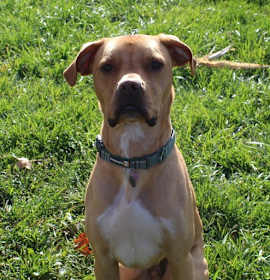 Photo of Remi aka Turbo