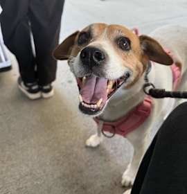 Gemma **Courtesy Post** photo 4