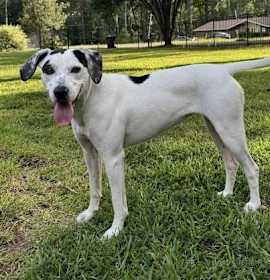 Millie Taylor photo 1