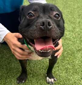 Jekyll C000-568 - City of Industry Location photo 3