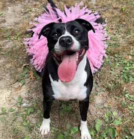 Photo of Bonnie in Lyndhurst VA