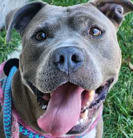 Cornell Campbell photo 1