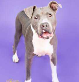 Photo of Ralph Nader