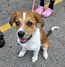 Arizona $500 photo 2