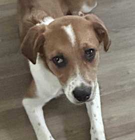 Arizona $500 photo 4