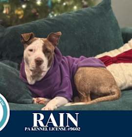 Photo of Rain (Stevie's Mom) 092725