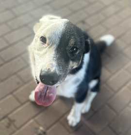 Photo of Harvey Dent