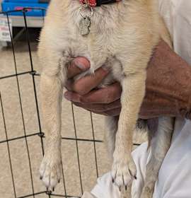 Photo of Jim Morrison
