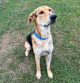 Photo of Oso Special