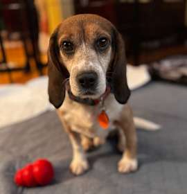 Photo of Morgan