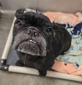 Photo of Beatrix