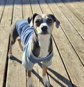 Photo of Piper Jones