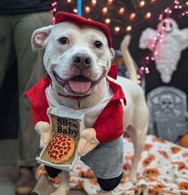 Key Key Dance - In Foster photo 2