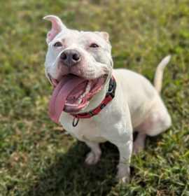 Key Key Dance - In Foster photo 3