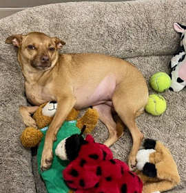 Photo of Ramona