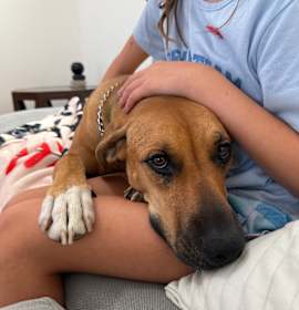 Photo of Penny