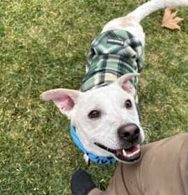 PJ (aka Delano) CP photo 3