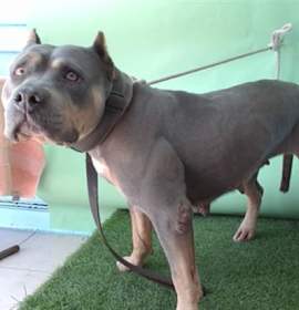 Photo of TWIX