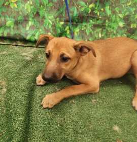 Photo of Camy K70 10/10/25