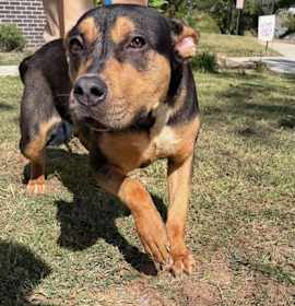 Photo of Play CNTY-355