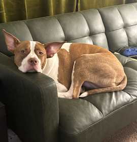 Isa (ee-suh) photo 1