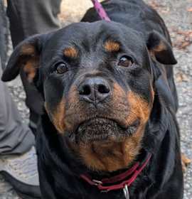 Photo of Athena