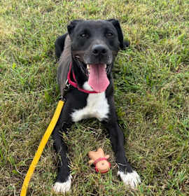 Dior FKA Minotaur photo 1