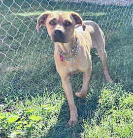 Tilly aka Matilda photo 3