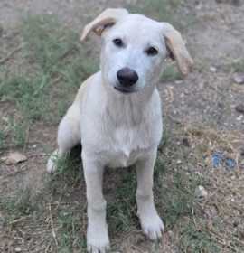 Photo of Jean Ralphio