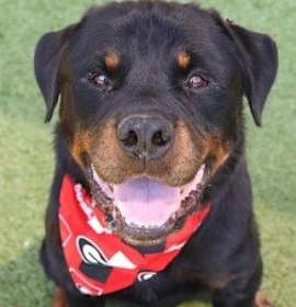 Photo of Chase