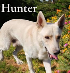 Photo of Hunter