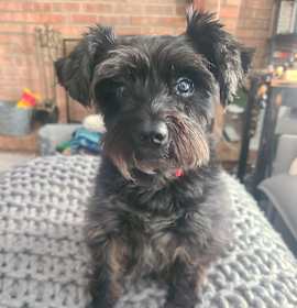 Photo of Marceline (Marci)