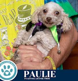 Photo of Paulie 101125