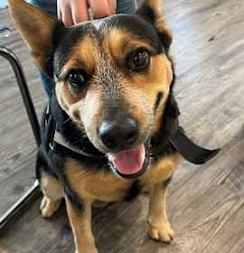 Photo of Miller (Foster)