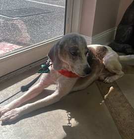 Photo of Gramps @ Foster