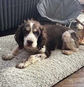 Autumn (PA) Sweet! photo 2