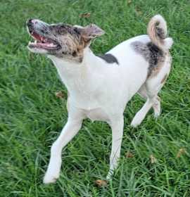 Ulti (PA) Loves people! photo 2