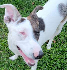 Ulti (PA) Loves people! photo 3